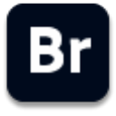 Adobe Bridge 2020